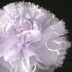 Picture of Loving Heart Tulle Nets
