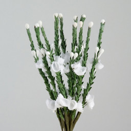 Picture of Heather Stems