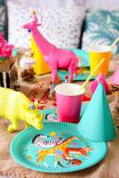 Picture for category Unisex Birthday Parties