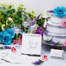 Show products in category Weddings in Silver Picture for category Weddings in Silver