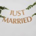 Picture of Just Married Rustic Style Bunting