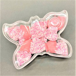 Picture of Acrylic Butterfly Favour with Sweet Filling