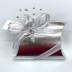 Picture of Silver Silk Pillow Favour