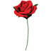Picture of Rachetti Rose Spray Red Favour