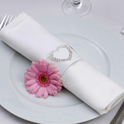 Picture for category Napkin Rings