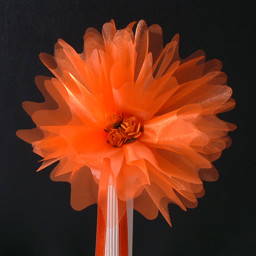 Picture of Crystal Tulle in Orange