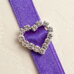 Picture of Diamante Buckle Small Horizontal Heart