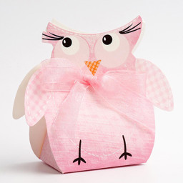Picture of DIY Pink Friends Owl with Ribbon
