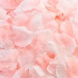 Picture of Fabric Petals in Pastel Pink