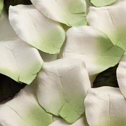 Picture of Paper Rose Petals in Green