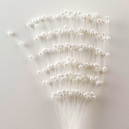 Show details for Pearl Strands Picture of Pearl Strands