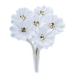 Show details for Diamante Daisy Picture of Diamante Daisy