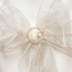 Picture of Organza Chair Sash