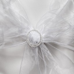 Picture of Organza Chair Sash