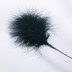 Picture of Fluffy Feathers