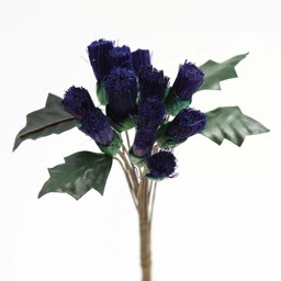 Picture of Purple Thistle Flowers