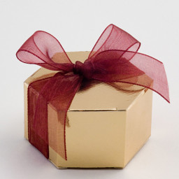 Show details for Shiny Gold Lari Favour Box Picture of Shiny Gold Lari Favour Box