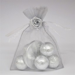 Picture of Just Married Silver Coin Chocolate Favour Bag