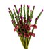Picture of Heather Stems