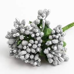 Show details for Berry Spray Picture of Berry Spray