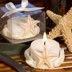 Picture of Starfish Candle Favour
