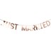 Picture of Geo Blush Just Married Rose Gold Bunting