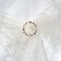 Show details for Chair Sash Round Diamante Buckle Picture of Chair Sash Round Diamante Buckle