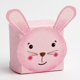 Picture of DIY Pink Friends Rabbit