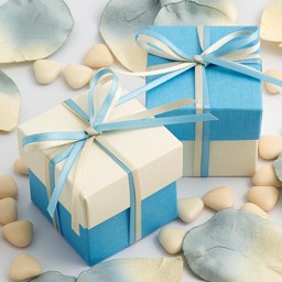 Picture of DIY Two Tone Boxes in Blue Silk & Ivory Silk