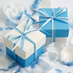 Picture of DIY Two Tone Boxes in Blue Silk & White Silk