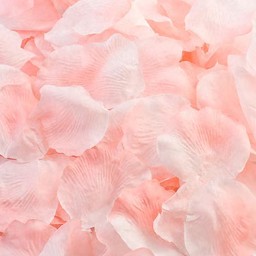 Show details for Fabric Petals in Pastel Pink Picture of Fabric Petals in Pastel Pink