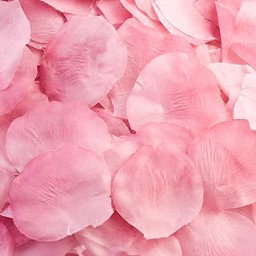 Show details for Fabric Petals in Pink Picture of Fabric Petals in Pink