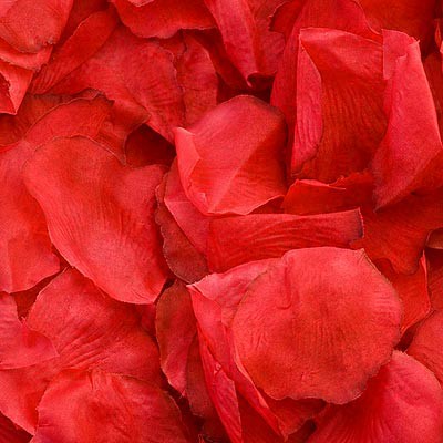 Picture of Fabric Petals in Red