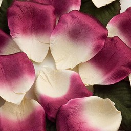Picture of Paper Rose Petals in Fuchsia