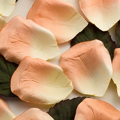 Picture of Paper Rose Petals in Peach