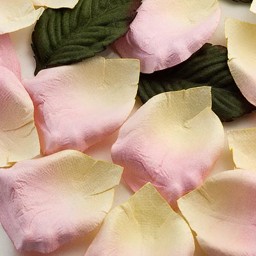 Picture of Paper Rose Petals in Pink