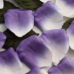 Picture of Paper Rose Petals in Purple