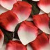 Picture of Paper Rose Petals in Red