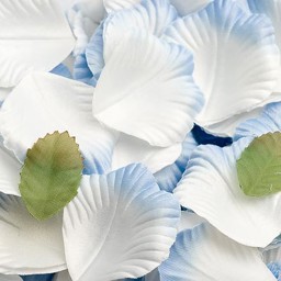 Show details for Satin Petals in Blue Picture of Satin Petals in Blue