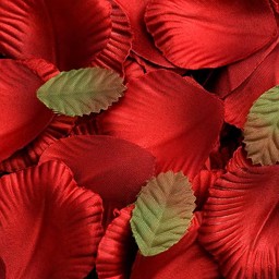 Picture of Satin Petals in Burgundy