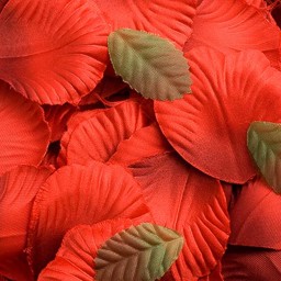 Picture of Satin Petals in Red