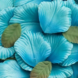 Picture of Satin Petals in Teal