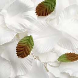 Picture of Satin Petals in White