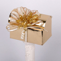 Show details for Shiny Gold - Chest Picture of Shiny Gold - Chest