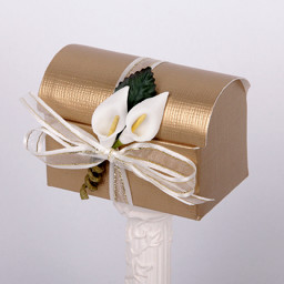 Show details for Silk Gold Chest Picture of Silk Gold Chest