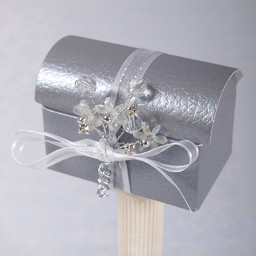 Show details for Silver Pelle Chest Picture of Silver Pelle Chest