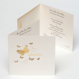 Picture of Pearl/Gold Stencil 3D Butterfly Invitation Cards 