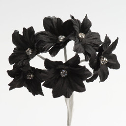 Show details for Diamante Margarita Picture of Diamante Margarita