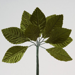 Show details for Satin Leaves Picture of Satin Leaves
