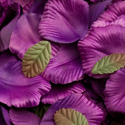 Picture of Satin Petals in Purple